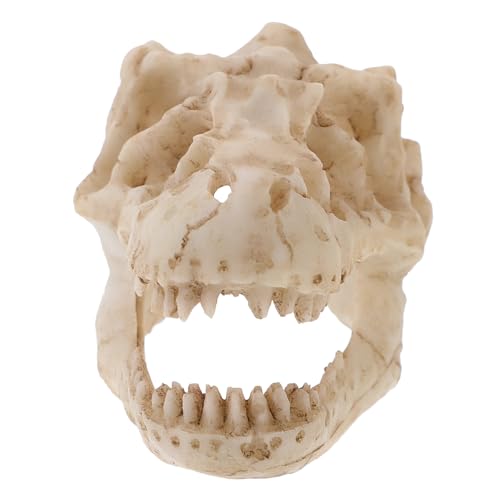 PRETYZOOM Dinosaurierschädelmodell Aus Resin Simuliertes Dinosaurierschädel Modell Für Dekoration Gestaltung Von Aquarien Terrarien Kleiner Tyrannosaurus Schädel von PRETYZOOM