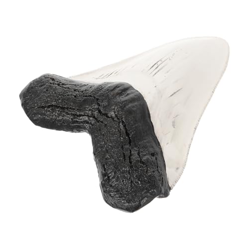 PRETYZOOM Fake Fossilized Decor Retro Model Decoration für Regal für Hochwertige Handwerkskunst Langlebiges Material PRETYZOOM Fake Fossilized Decor Retro Model Decoration für Regal für Hochwertige Handwerkskunst Langlebiges Material von PRETYZOOM