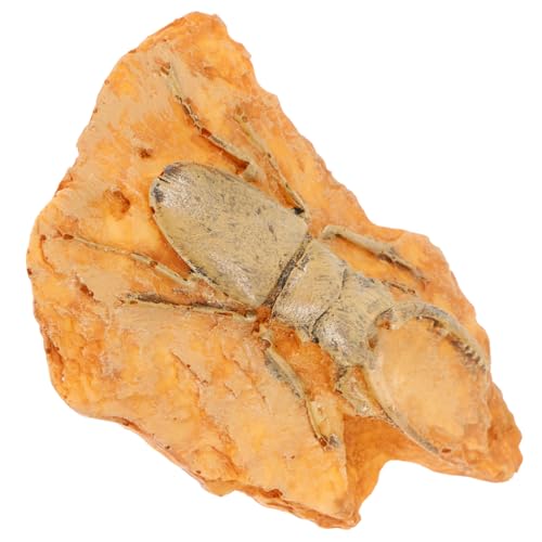 PRETYZOOM Fossiliendekoration paläontologisches Insektenornament Insekt lehren paläontologische Insektendekoration Insektenexemplar für den Unterricht Insekt als Probe Harz von PRETYZOOM