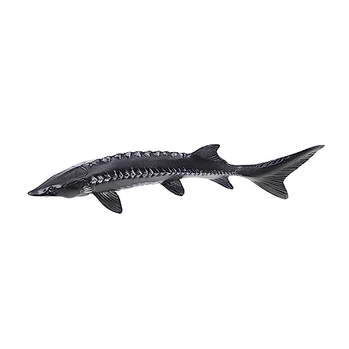 PRETYZOOM Lebensechtes Simuliertes Fischmodell Tier Lernspielzeug Aquarium Deko Geburtstagsgeschenk von PRETYZOOM
