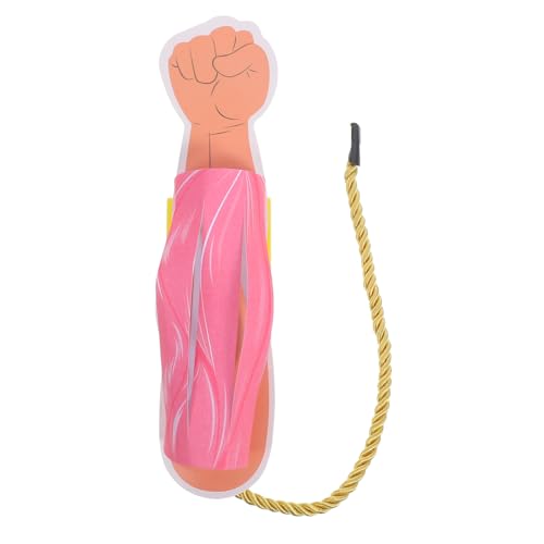PRETYZOOM Muskelmodell Anatomischer Körper Miniatur Gliedmaßen Obere Physiologie Muskel Muskel Schaumodell Skelettknochen Kleine Skelettanatomie Skelettmuskelfasermodell Muskeln von PRETYZOOM