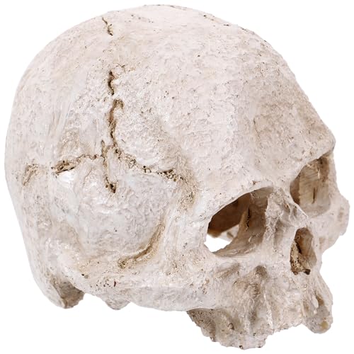 PRETYZOOM Schädelmodell für Mini menschlicher Schädel Halloween-Modell eines menschlichen Schädels Gothic realistisch gefälschte Schädel Schädelskulptur -Anzeige Schädelstatuen Harz PRETYZOOM Schädelmodell für Mini menschlicher Schädel Halloween-Modell eines menschlichen Schädels Gothic realistisch gefälschte Schädel Schädelskulptur -Anzeige Schädelstatuen Harz von PRETYZOOM