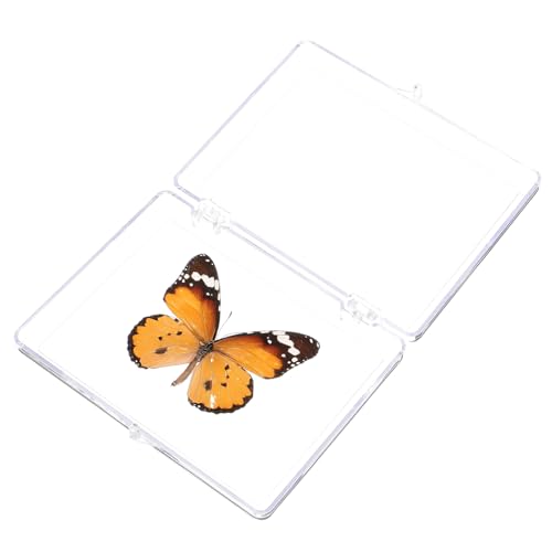 PRETYZOOM Schmetterlings-Exemplar insektenbox insekten box Schmetterlingspräparat Schmetterlingsdekoration Schmetterlinge Schmetterlingsnetz Displayhalter Musterdekor ausstellen Plastik PRETYZOOM Schmetterlings-Exemplar insektenbox insekten box Schmetterlingspräparat Schmetterlingsdekoration Schmetterlinge Schmetterlingsnetz Displayhalter Musterdekor ausstellen Plastik von PRETYZOOM