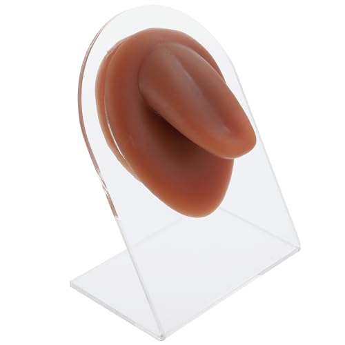 PRETYZOOM Zungenmodell Form Piercing Modelle Streich Piercing Übungssimulation Silikon Piercing Körperteil Körperpiercing Modell Simuliertes Zungenmodell Kaffee Lebensmittelechtes PRETYZOOM Zungenmodell Form Piercing Modelle Streich Piercing Übungssimulation Silikon Piercing Körperteil Körperpiercing Modell Simuliertes Zungenmodell Kaffee Lebensmittelechtes von PRETYZOOM