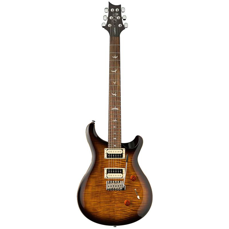 PRS SE Custom 24 BGS E-Gitarre von PRS