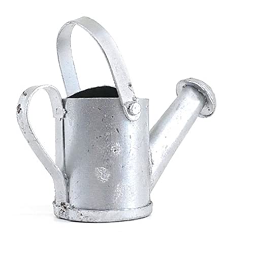 PSFDEWT Bewässerung kann Miniaturpuppenhaus 1:12 Metallgarten -Accessoire Miniature messen PSFDEWT Bewässerung kann Miniaturpuppenhaus 1:12 Metallgarten -Accessoire Miniature messen von PSFDEWT