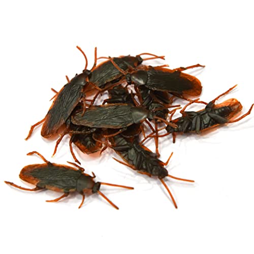 PSFDEWT Gefälschte Kakerlake Realistische Plastik -Kakerlake -Insekten Witzspielzeug Streich gruselige Trickwanzen für Farren Tag 10pcs Kakerlaken von PSFDEWT