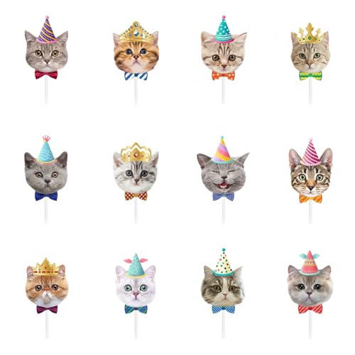 12 Stück Birthdays Cupcake Topper für Katzen Party Dekorationen, Happy Birthday Kuchen Topper Dekoration für Haustier Birthdays Party Dekorationen, 5,13cm 12 Stück Birthdays Cupcake Topper für Katzen Party Dekorationen, Happy Birthday Kuchen Topper Dekoration für Haustier Birthdays Party Dekorationen, 5,13cm von PT Haahoos