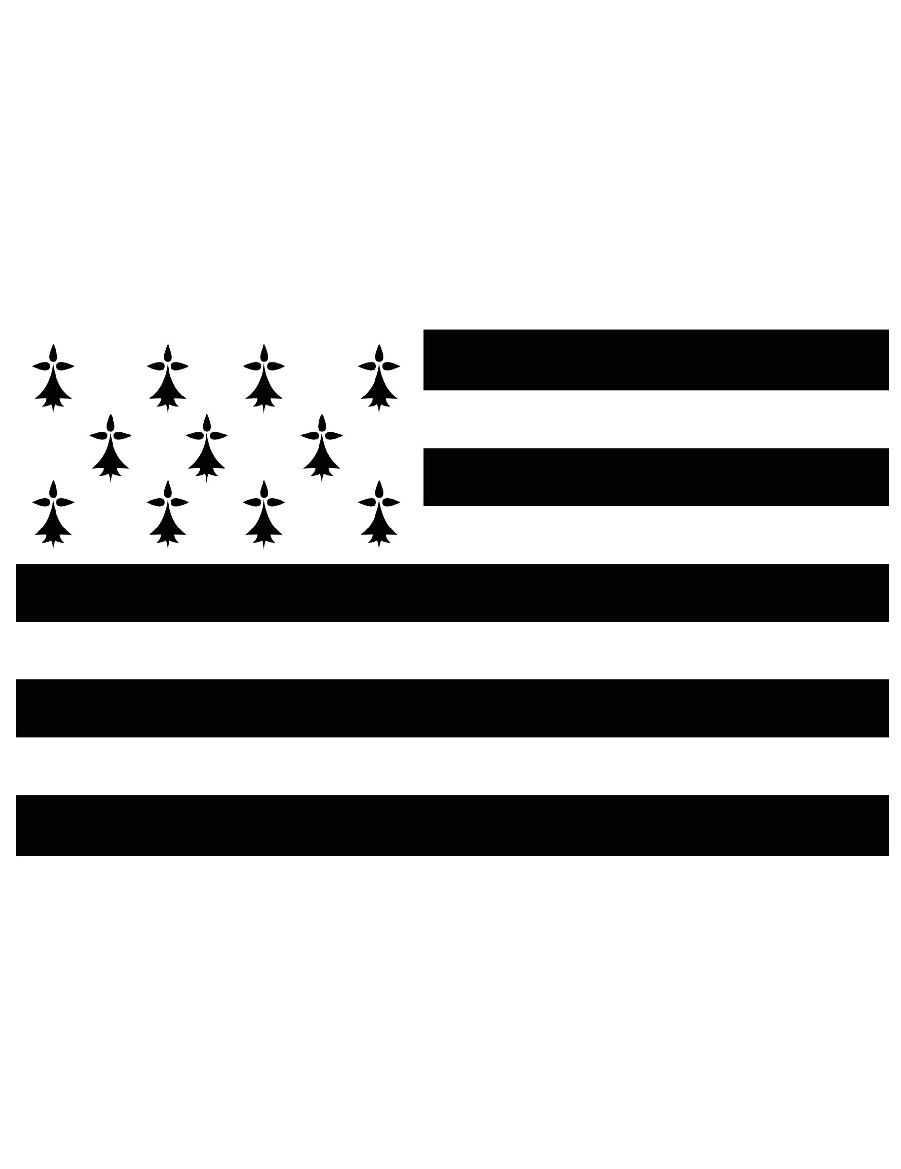 Fahne Bretagne Supporter 150 x 90 cm Fahne Bretagne Supporter 150 x 90 cm von PTIT CLOWN