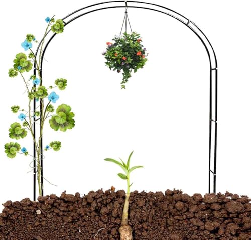 Metall-Hochzeitsbogen, Rosenbogen, Gartenbogen for Kletterpflanzen, Breite 1,4 m bis 3,5 m(Green,W3.5M*H2.2M) von PXAMORTEL