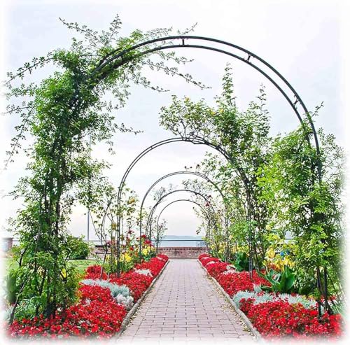Metall-Hochzeitsbogen, Stabiles 3,5 m langes Spalier for Rosenbögen, Pergola aus Eisen for eine breite Abdeckung von 1,4 bis 3 m(Green,W3.5M*H2.2M) von PXAMORTEL