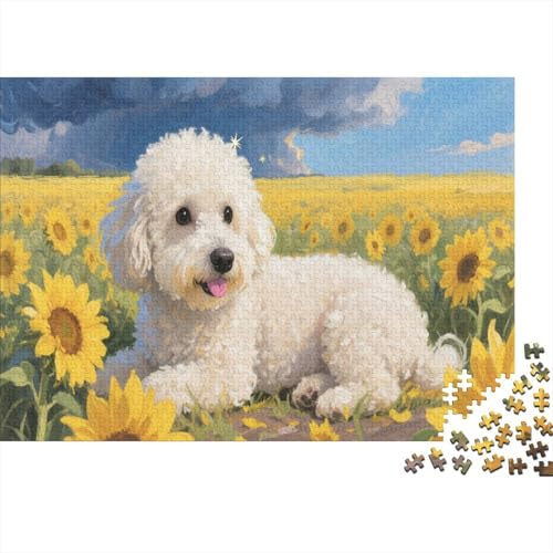 Bichon FrisePuzzle 500 Teile Schwer Puzzle Spielzeug Pädagogisches Spiel Impossible Herausforderung Spielzeug Für Erwachsene Kinder 500pcs (52x38cm) von PXBDUASIE