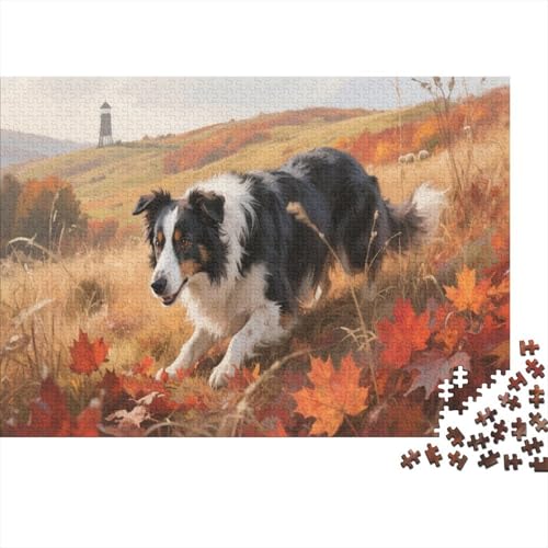 Der Border ColliePuzzle 1000 Teile Schwer Puzzle Spielzeug Pädagogisches Spiel Impossible Herausforderungsspielzeug Für Erwachsene Kinder 1000pcs (75x50cm) von PXBDUASIE