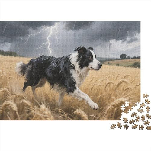 Der Border ColliePuzzles 500 Teile Schwer Puzzle Spielzeug Pädagogisches Spiel Impossible Herausforderung Spielzeug Für Erwachsene Und Kinder Ab 12 Jahren 500pcs (52x38cm) von PXBDUASIE