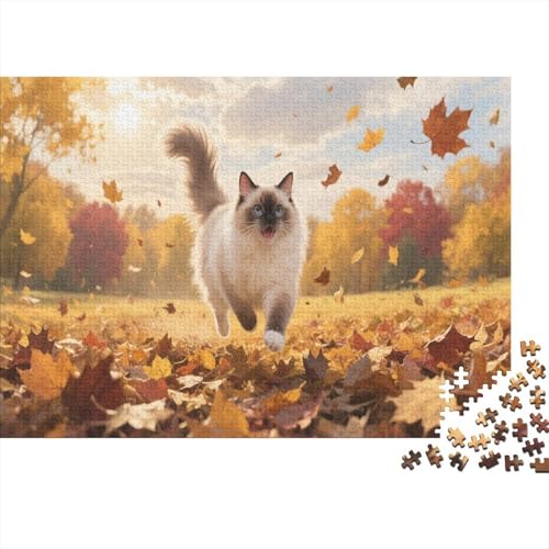 Der Maine CoonPuzzle 500 Teile Schwer Puzzle Spielzeug Lernspiel Impossible Herausforderungsspielzeug Für Erwachsene Und Kinder Ab 12 Jahren 500pcs (52x38cm) von PXBDUASIE