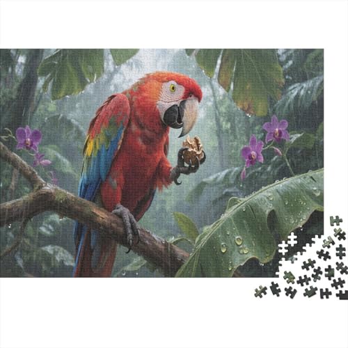 GuacamayoPuzzle 1000-teilige Schwer Puzzle Spielzeug Lernspiel Impossible Herausforderungsspielzeug Für Erwachsene Und Kinder Ab 12 Jahren 1000pcs (75x50cm) von PXBDUASIE