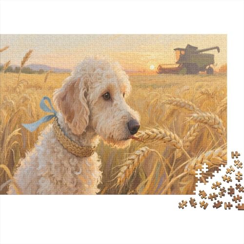 PoodlePuzzle 300 Teile Schwer Puzzle Spielzeug Lernspiel Impossible Herausforderungsspielzeug Für Erwachsene Und Kinder Ab 14 Jahren 300pcs (40x28cm) von PXBDUASIE