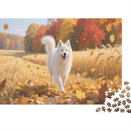 SamojePuzzle 500-teilige Schwer Puzzle Spielzeug Lernspiel Impossible Herausforderungsspielzeug Für Erwachsene Und Kinder Ab 12 Jahren 500pcs (52x38cm) von PXBDUASIE