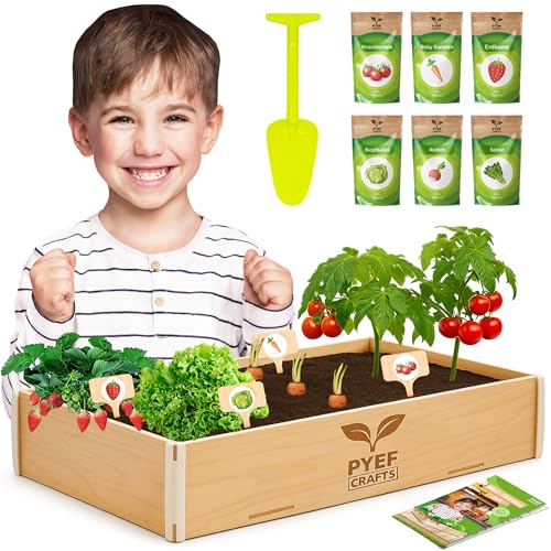PYEF CRAFTS Mini Garten Kinder Komplettset - Gemüse Indoor Kräutergarten Geschenk Anzuchtset Pflanzen - Gartenset Kinder Anzuchtset - Komplettes Saatgut Pflanzenzucht Set von PYEF CRAFTS