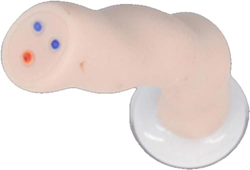 Anatomisches Modell der Nabelschnur und Plazenta bei Neugeborenen – realistische PVC-Darstellung for die Gynäkologie und das Gesundheitswesen, Trainingshilfe von PYSyansu