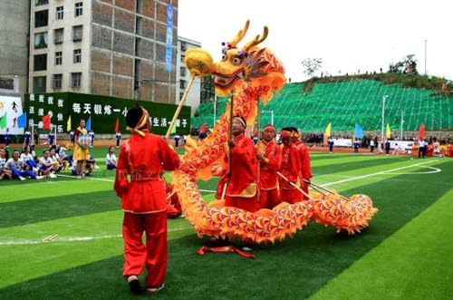 PZEOB 14 m langes Drachentanz-Kostüm aus Seide für 8 Spieler, chinesischer Drachentanz, Outdoor-Fitness, Drachentanz, Volksdrachentanz, Löwentanz von PZEOB