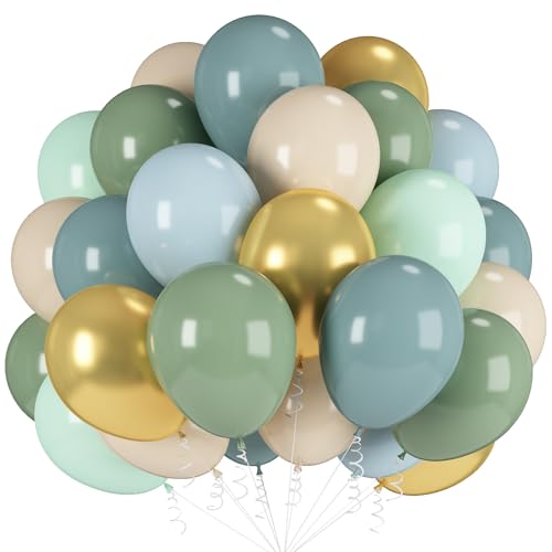 Dusty Blue Green Balloons, 60 Pcs 12 Inch Haze Fog Blue Sage Green Balloons with Sand White Metallic Gold Balloon for Boho Baby Shower Wedding Birthday Engagement Bridal Shower Party Decoration von Paeyeq