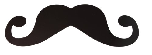 Emporium The Car Moustache Magnet by Emporium von Paladone