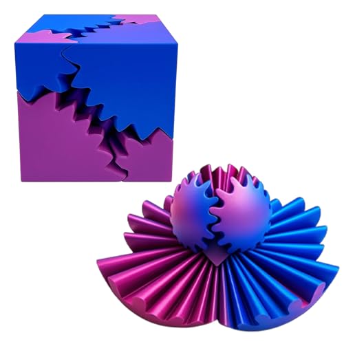 2 Fidget Toys, Fidget Slider und Fidget Toy, Skills Borderline, Sensorik Spielzeug für Erwachsene und Kinder, Autismus Spielzeug, 6.5cm und 5.1cm von PangWuu