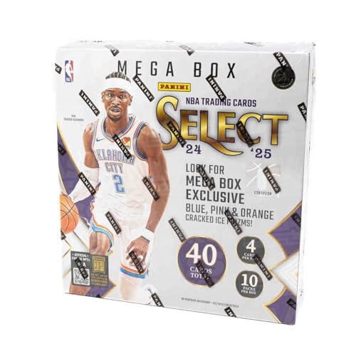 BK Select (24-25) von Panini