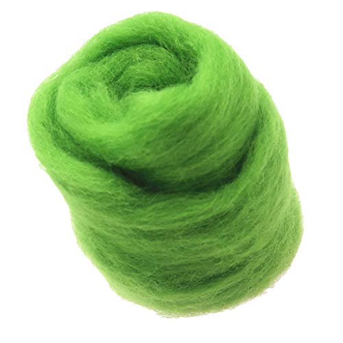 Paowsietiviity 10 g handgemachte Wolle Top Fiber Roving für Nadelfilzmaterialien grün von Paowsietiviity