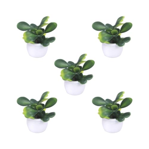 Paowsietiviity 5 Set 1/12 künstliche Bonsai Modell Micro Landschaft Schlafzimmer Möbel Ornamente B Jaspis 1cm Paowsietiviity 5 Set 1/12 künstliche Bonsai Modell Micro Landschaft Schlafzimmer Möbel Ornamente B Jaspis 1cm von Paowsietiviity