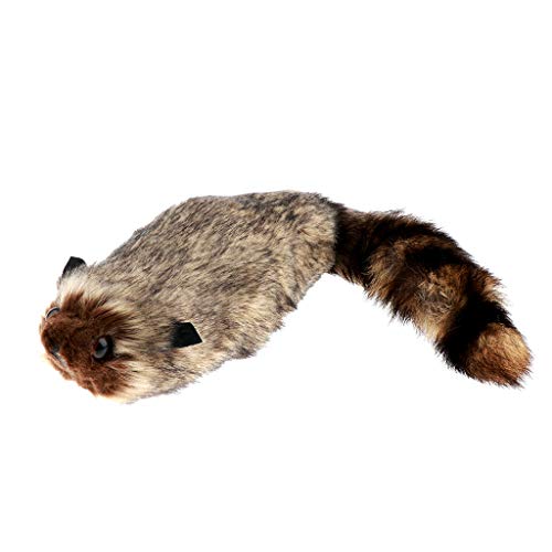 Waschbär Zaubertrick Lebensechte Waschbär Zaubertricks Requisiten Bühnenmagie Requisiten Waschbär Zaubertrick Lebensechte Waschbär Zaubertricks Requisiten Bühnenmagie Requisiten von Paowsietiviity