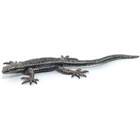 Gemeine Eidechse von Papo Sas