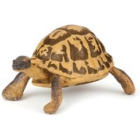 PAPO 50264 Hermanns Schildkröte PAPO 50264 Hermanns Schildkröte von Papo