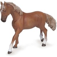 PAPO 51533 PFERDE, FOHLEN UND PONYS Anglo-Araber Stute rotbraun PAPO 51533 PFERDE, FOHLEN UND PONYS Anglo-Araber Stute rotbraun von Papo