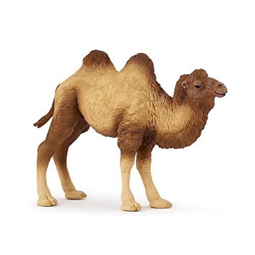 Papo - Tierfigur - Baktrianisches Kamel, Reise in die fernen Wüsten, Kinderspielzeug ab 3 Jahren - Entdeckung der Tiere der Welt und Anpassung von Papo