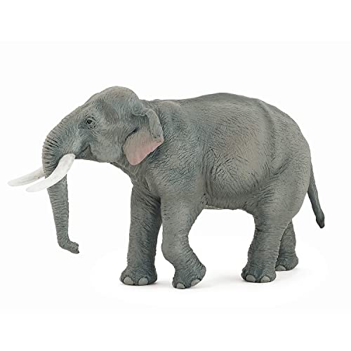 Papo - Große Tierfigur - Asiatischer Elefant, Beschützer des Dschungels, Kinderspielzeug ab 3 Jahren - Wissen über bedrohte Tierarten Papo - Große Tierfigur - Asiatischer Elefant, Beschützer des Dschungels, Kinderspielzeug ab 3 Jahren - Wissen über bedrohte Tierarten von Papo