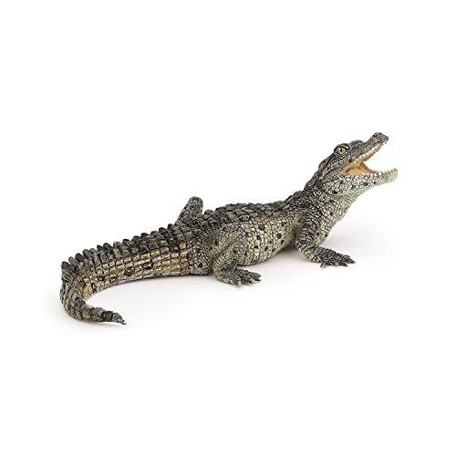 Papo - Tierfigur - Baby Krokodil, Erste Schritte in der Welt der Reptilien, Kinderspielzeug ab 3 Jahren - Sensibilisierung für die biologische Vielfalt des Wassers von Papo