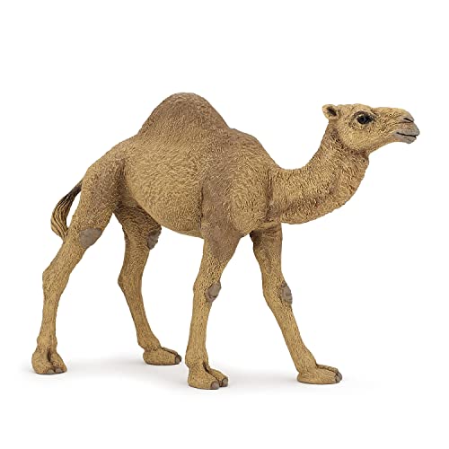 Papo -Handbemalt - Figuren -Wildtiere Der Welt-Dromedar-50151-Sammelbar-Für Kinder - Geeignet für Jungen und Mädchen - Ab 3 Jahren Papo -Handbemalt - Figuren -Wildtiere Der Welt-Dromedar-50151-Sammelbar-Für Kinder - Geeignet für Jungen und Mädchen - Ab 3 Jahren von Papo