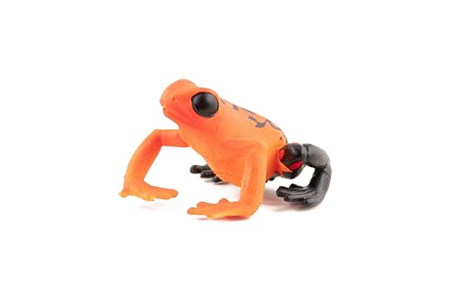 Papo 50193 Roter Äquatorial Frosch, Spiel von Papo