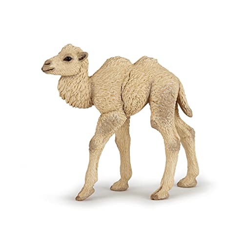 Papo -Handbemalt - Figuren -Wildtiere Der Welt-Kameljunges-50221-Sammelbar-Für Kinder - Geeignet für Jungen und Mädchen - Ab 3 Jahren Papo -Handbemalt - Figuren -Wildtiere Der Welt-Kameljunges-50221-Sammelbar-Für Kinder - Geeignet für Jungen und Mädchen - Ab 3 Jahren von Papo