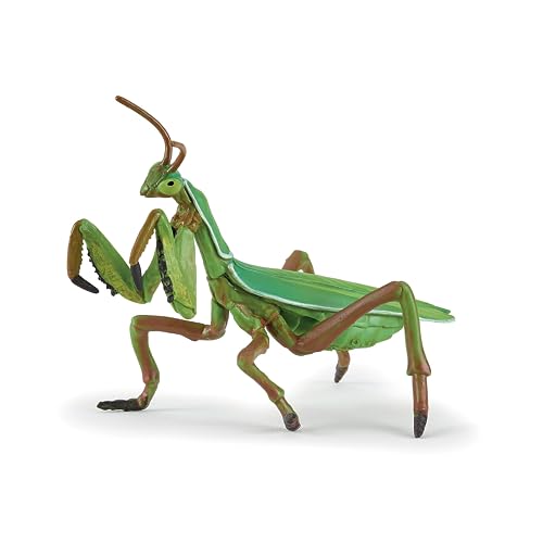 Papo - Figur Gottesanbeterin - Spielzeug für Kinder ab 3 Jahren - Handbemalte Insektenfigur - Detailreiche Gartenfigur - Realistische Darstellung - Sammelfigur aus Kunststoff - 50244 Papo - Figur Gottesanbeterin - Spielzeug für Kinder ab 3 Jahren - Handbemalte Insektenfigur - Detailreiche Gartenfigur - Realistische Darstellung - Sammelfigur aus Kunststoff - 50244 von Papo