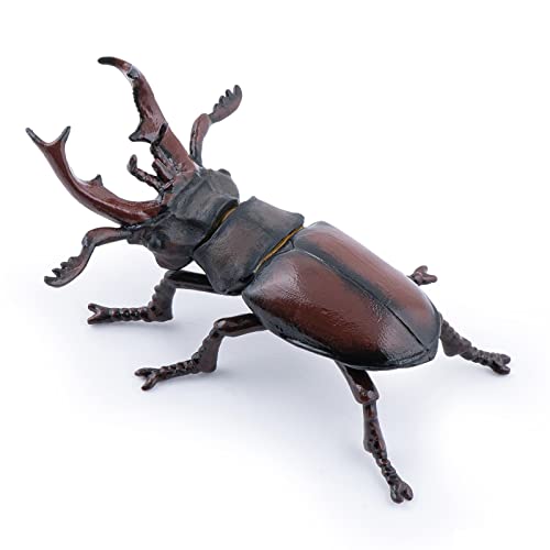 Papo - Figuren Handbemalt - Wildtiere der Welt - Hirschkäfer - 50281 - Für Kinder - Geeignet für Jungen und Mädchen - Ab 3 Jahren Papo - Figuren Handbemalt - Wildtiere der Welt - Hirschkäfer - 50281 - Für Kinder - Geeignet für Jungen und Mädchen - Ab 3 Jahren von Papo