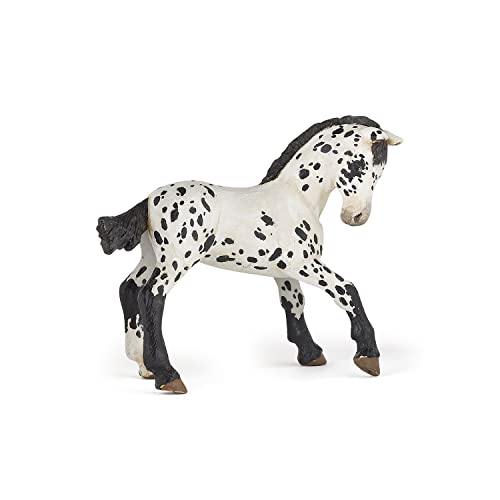 Papo -Handbemalt - Figuren -Pferd, Fohlen und Ponys -Appaloosa Fohlen schwarz-51540-Sammelbar-Für Kinder - Geeignet für Jungen und Mädchen - Ab 3 Jahren von Papo
