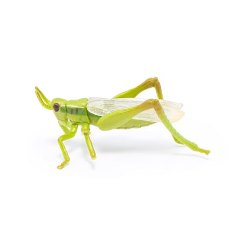 PAPO -Handbemalt - Figuren -Wildtiere Der Welt-Heuschrecke-50268-Sammelbar-Für Kinder - Geeignet für Jungen und Mädchen - Ab 3 Jahren PAPO -Handbemalt - Figuren -Wildtiere Der Welt-Heuschrecke-50268-Sammelbar-Für Kinder - Geeignet für Jungen und Mädchen - Ab 3 Jahren von Papo