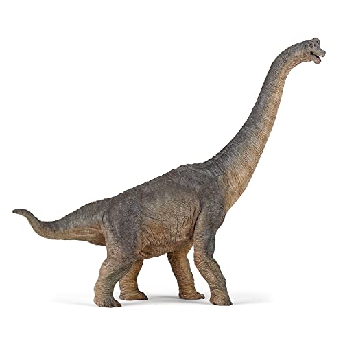 PAPO 55030 Dinosaurier, Brachiosaurus Figur, Mehrfarben von Papo