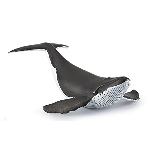 Papo - Figur Baleineau - Spielzeug für Kinder ab 3 Jahren - Handbemalte Walfigur - Realistische Darstellung eines Walfisch-Jungtiers - Meerestier aus Kunststoff - 56035 von Papo
