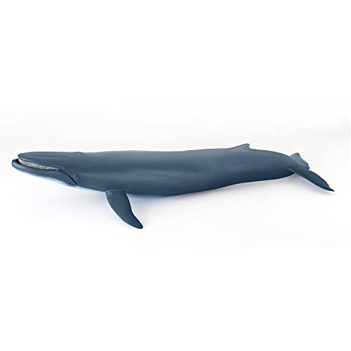 Papo - Große Figur - Wal, Meeresriese, Spielzeug für Kinder ab 3 Jahren - Meerestiere - 38.50 cm x 17.00cm - Erforschung der Ozeane und Sensibilisierung für das Leben im Meer von Papo