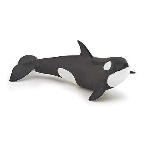 Papo - Tierfigur - Orca-Baby, Die süße Welt der Meere, Kinderspielzeug ab 3 Jahren - Verbindung zu Meeressäugern und Schutz der Ozeane von Papo