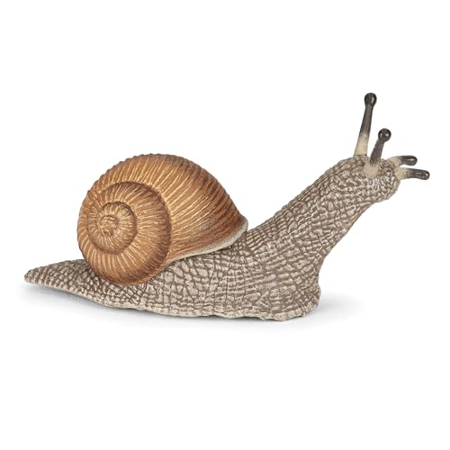 PAPO - Schnecke - Realistische Plastikfigur - 3 Jahre alt - Gartentiere - Handbemalt - Extrem detailgetreu - Langlebig und lehrreich - Kinderspielzeug - Geschenkidee PAPO - Schnecke - Realistische Plastikfigur - 3 Jahre alt - Gartentiere - Handbemalt - Extrem detailgetreu - Langlebig und lehrreich - Kinderspielzeug - Geschenkidee von Papo